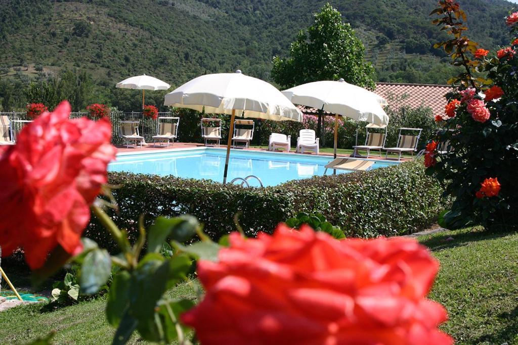 Agriturismo Cortoreggio Cortona Eksteriør bilde