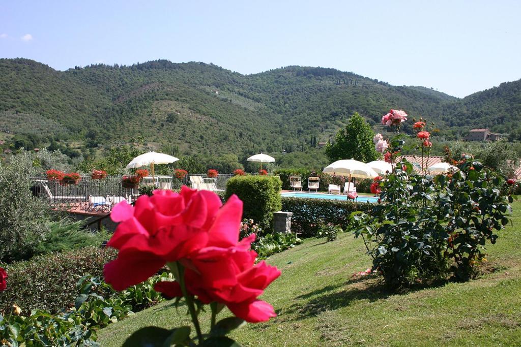Agriturismo Cortoreggio Cortona Eksteriør bilde