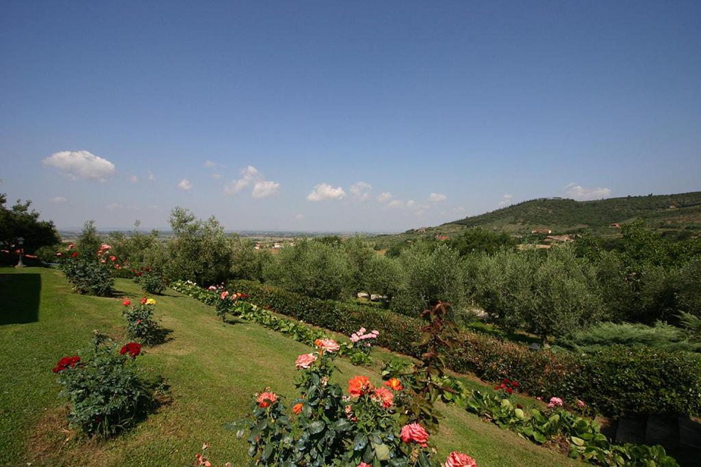Agriturismo Cortoreggio Cortona Eksteriør bilde