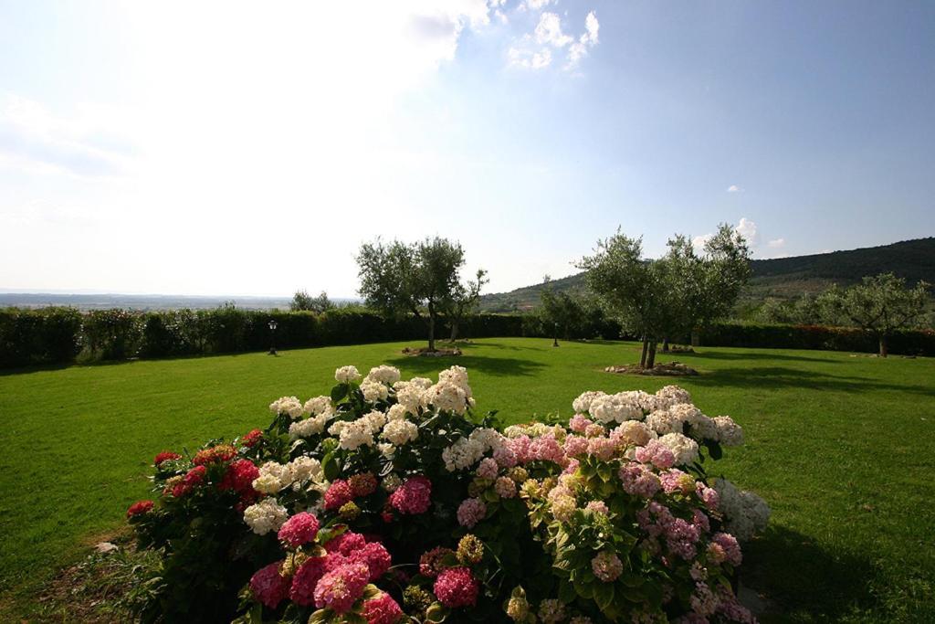Agriturismo Cortoreggio Cortona Eksteriør bilde