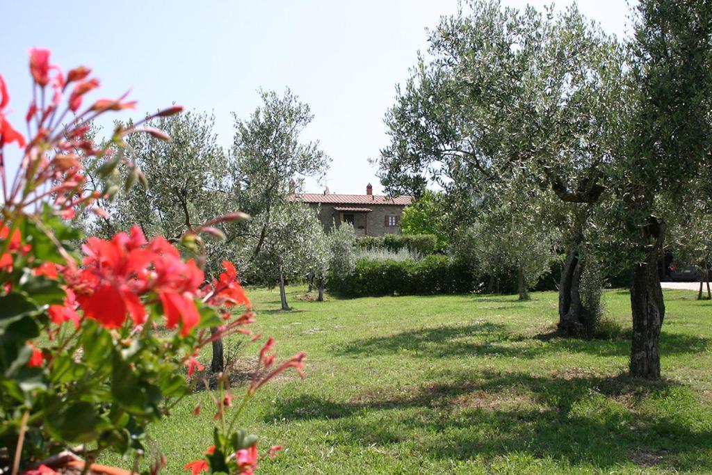 Agriturismo Cortoreggio Cortona Eksteriør bilde