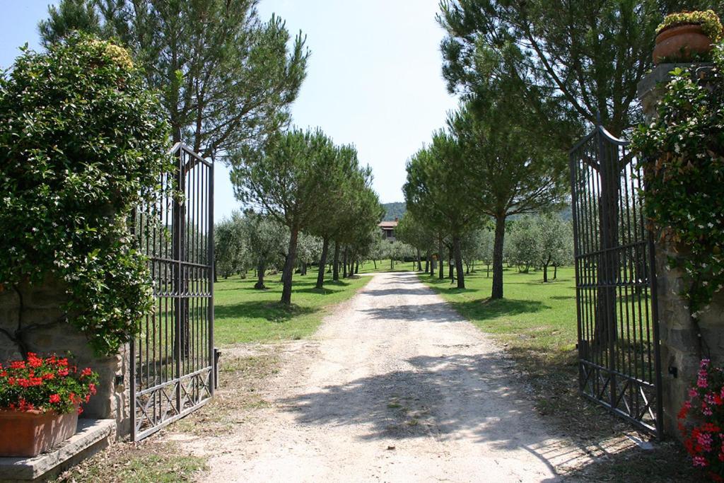 Agriturismo Cortoreggio Cortona Eksteriør bilde